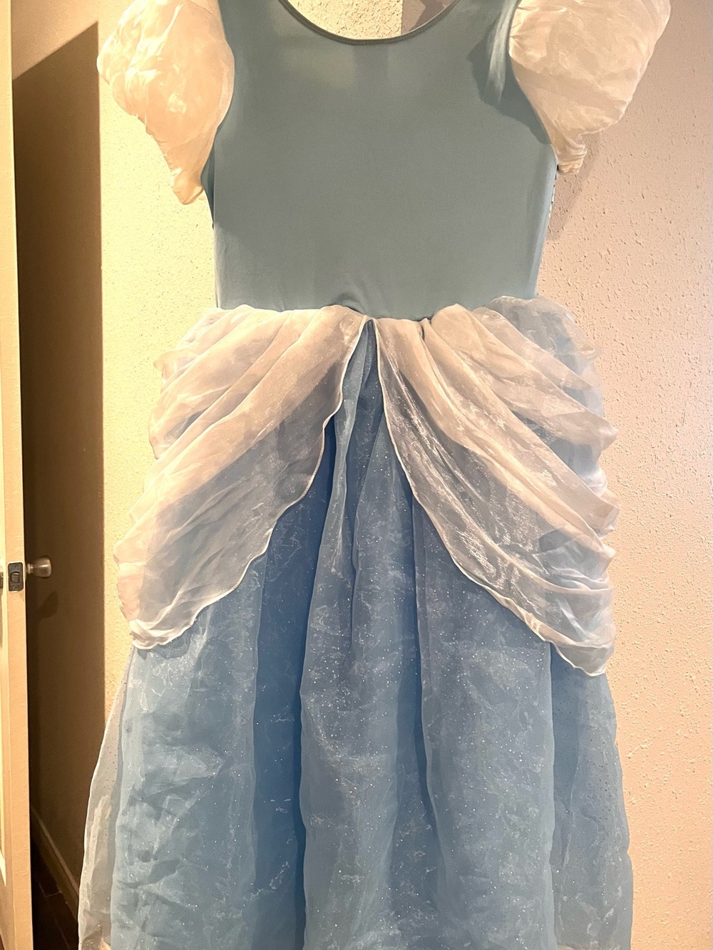 Disney Parks Cinderella Deluxe dress Puffy Skirt lined Eur Size Older Girl Sz13 - Picture 4 of 12